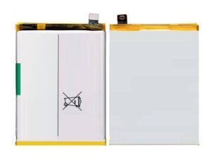 iQOO 12 Battery